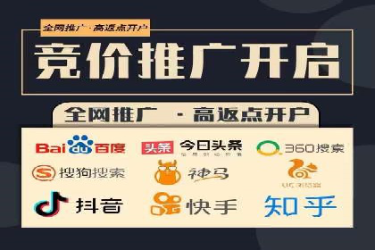 某品牌通过百度广告实现快速增长的案例